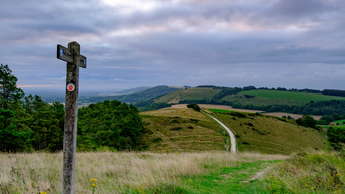 Landrace South Downs Way